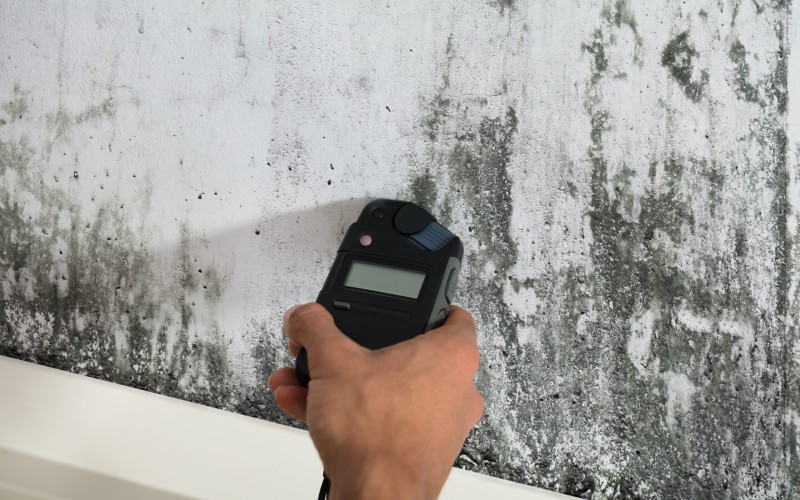 MOLD ASSESSMENT